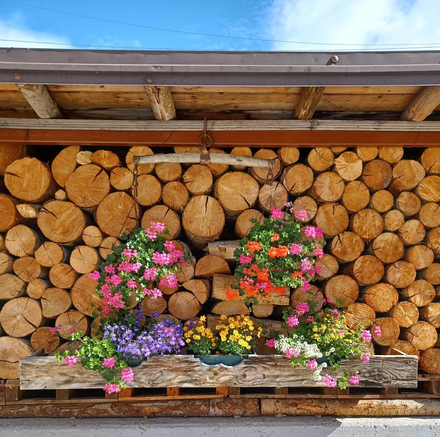 Locanda Da Pierina Santo Stefano Di Cadore Buitenkant foto